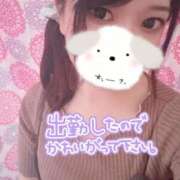 ヒメ日記 2025/09/11 12:19 投稿 のん 浜松駅前ちゃんこ