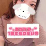 ヒメ日記 2025/09/17 15:48 投稿 のん 浜松駅前ちゃんこ