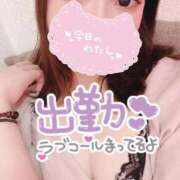 ヒメ日記 2025/10/06 15:09 投稿 のん 浜松駅前ちゃんこ