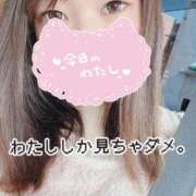 ヒメ日記 2025/11/17 12:49 投稿 のん 浜松駅前ちゃんこ