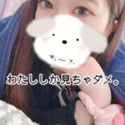 ヒメ日記 2025/11/26 12:14 投稿 のん 浜松駅前ちゃんこ