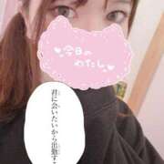 ヒメ日記 2025/12/08 07:09 投稿 のん 浜松駅前ちゃんこ