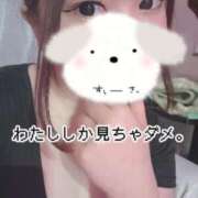 ヒメ日記 2026/01/15 16:21 投稿 のん 浜松駅前ちゃんこ