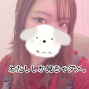 ヒメ日記 2026/02/10 12:49 投稿 のん 浜松駅前ちゃんこ