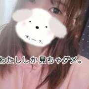 ヒメ日記 2026/02/11 10:09 投稿 のん 浜松駅前ちゃんこ