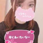 のん あー、 浜松駅前ちゃんこ