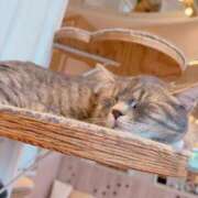 ヒメ日記 2026/04/02 12:49 投稿 のん 浜松駅前ちゃんこ