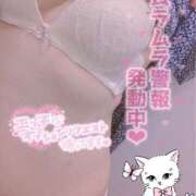 ヒメ日記 2025/05/20 15:00 投稿 つむぎ 熟女の風俗最終章 相模原店