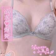 ヒメ日記 2025/11/22 10:50 投稿 つむぎ 熟女の風俗最終章 町田店