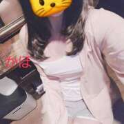 ヒメ日記 2025/09/12 16:57 投稿 かほ 密着手コキ&M性感 横浜エンジェルハンド