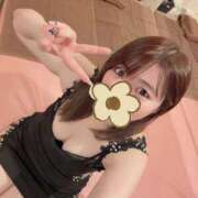 ヒメ日記 2026/02/15 23:29 投稿 ふわり 新宿プチドール