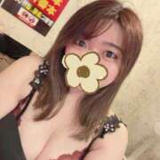 ヒメ日記 2026/02/24 23:49 投稿 ふわり 新宿プチドール