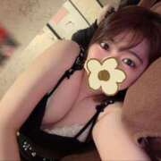 ふわり 小旅行🎶 新宿プチドール