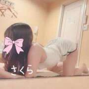 ヒメ日記 2025/05/23 17:31 投稿 さくら 密着手コキ&M性感 横浜エンジェルハンド