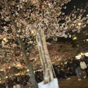 ヒメ日記 2025/04/11 01:30 投稿 麦（むぎ） NOA（ノア）