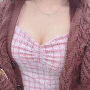 ヒメ日記 2025/04/25 12:28 投稿 麦（むぎ） NOA（ノア）