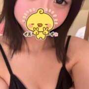 ヒメ日記 2025/05/07 07:32 投稿 麦（むぎ） NOA（ノア）