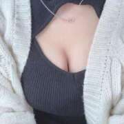 ヒメ日記 2025/05/11 16:03 投稿 麦（むぎ） NOA（ノア）