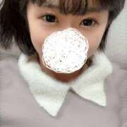 ヒメ日記 2025/05/14 11:05 投稿 麦（むぎ） NOA（ノア）