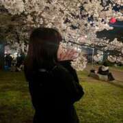 ヒメ日記 2025/05/21 17:20 投稿 麦（むぎ） NOA（ノア）