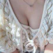 ヒメ日記 2025/06/07 09:06 投稿 麦（むぎ） NOA（ノア）