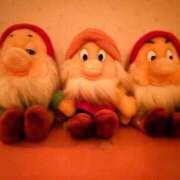 ヒメ日記 2025/06/21 23:44 投稿 麦（むぎ） NOA（ノア）