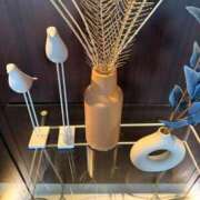 ヒメ日記 2025/07/24 09:44 投稿 麦（むぎ） NOA（ノア）