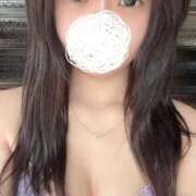 ヒメ日記 2025/08/27 12:30 投稿 麦（むぎ） NOA（ノア）