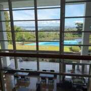 ヒメ日記 2025/10/28 16:38 投稿 麦（むぎ） NOA（ノア）