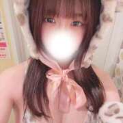 ヒメ日記 2025/11/14 08:40 投稿 麦（むぎ） NOA（ノア）