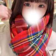 ヒメ日記 2025/12/29 21:32 投稿 麦（むぎ） NOA（ノア）