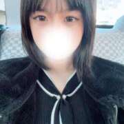 ヒメ日記 2026/01/29 10:23 投稿 麦（むぎ） NOA（ノア）