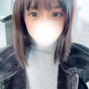 ヒメ日記 2026/01/31 11:12 投稿 麦（むぎ） NOA（ノア）