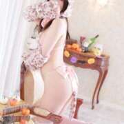 ヒメ日記 2026/02/04 12:44 投稿 麦（むぎ） NOA（ノア）