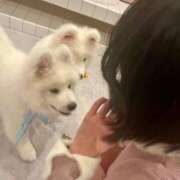 ヒメ日記 2026/03/21 19:22 投稿 麦（むぎ） NOA（ノア）