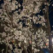 ヒメ日記 2026/04/13 09:30 投稿 麦（むぎ） NOA（ノア）