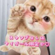 ヒメ日記 2025/06/03 20:47 投稿 水瀬　るか 癒し娘診療所 水戸・ひたちなか店