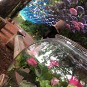 ヒメ日記 2025/04/10 18:03 投稿 ののか 渋谷じゃっくす