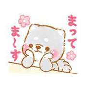 ヒメ日記 2025/04/27 13:16 投稿 東海林 熟女の風俗最終章 新横浜店