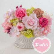 ヒメ日記 2025/04/05 13:52 投稿 きょうか(昭和48年生まれ) 熟年カップル名古屋～生電話からの営み～