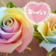 ヒメ日記 2025/06/29 21:35 投稿 きょうか(昭和48年生まれ) 熟年カップル名古屋～生電話からの営み～