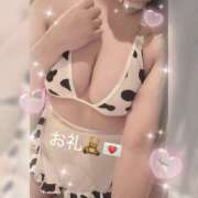 ヒメ日記 2025/04/26 17:36 投稿 さゆ ちゃんこ大阪伊丹空港豊中店