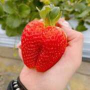 ヒメ日記 2026/01/30 15:05 投稿 なぎさ 完熟ばなな新宿