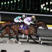 ヒメ日記 2026/03/12 23:24 投稿 乃木千音 五十路マダムエクスプレス横浜店（カサブランカグループ）