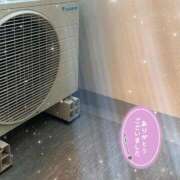 ヒメ日記 2025/12/15 16:59 投稿 おもち ぷるるんギャング