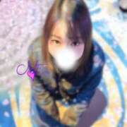 ヒメ日記 2026/04/03 12:22 投稿 みい ちゃんこ藤沢茅ヶ崎店