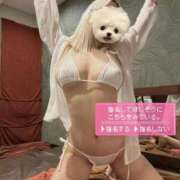 ヒメ日記 2025/12/08 16:17 投稿 なの ごほうびSPA福岡店