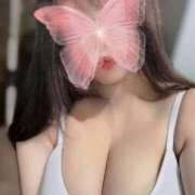 ヒメ日記 2025/10/18 14:01 投稿 桃華ほたる セレブショップ新宿（東京ハレ系）