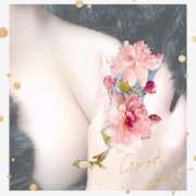 ヒメ日記 2025/07/06 19:13 投稿 服部　しゅり エテルナ彦根