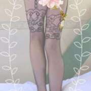 ヒメ日記 2025/07/26 18:45 投稿 服部　しゅり エテルナ彦根